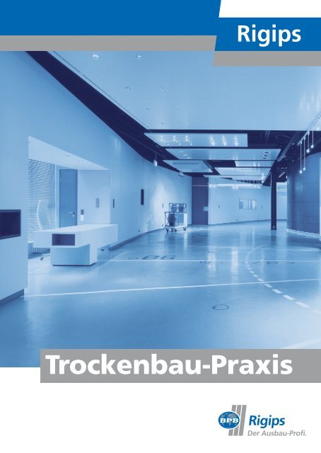 Trockenbau-Praxis - Rigips