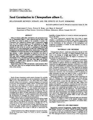 Seed Germination in Chenopodium album L. - Plant  Physiology