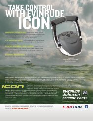 ICON Controls Sheet - Evinrude