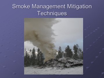 Smoke Management Mitigation Techniques by Cindy Glick (PDF)