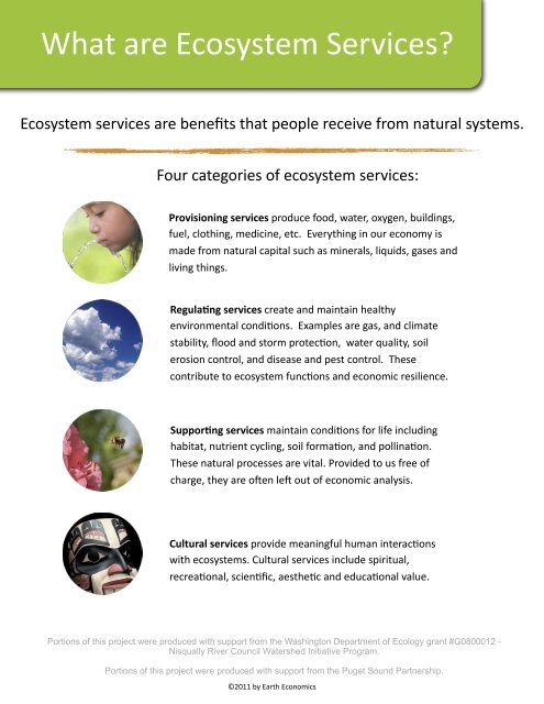 What are Ecosystem Services? - Earth Economics