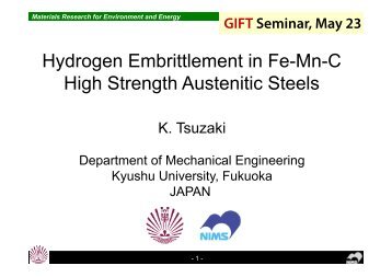 Hydrogen Embrittlement in Fe-Mn-C High Strength Austenitic Steels