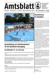 Nr.: 269 vom 1. 7. 2013 - Geringswalde