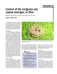 Control of the turfgrass ant, Lasius neoniger, in Ohio - GCSAA