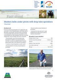 Shelters belts under pivots with drop tube sprinklers - Dairying For ...