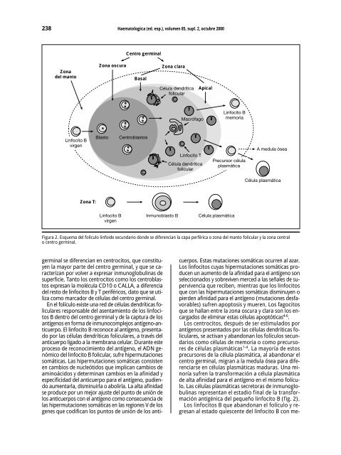 Portada Simposios - Supplements - Haematologica