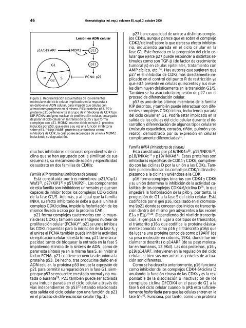 Portada Simposios - Supplements - Haematologica