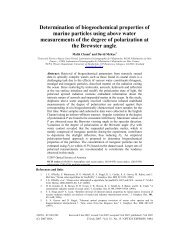 Determination of biogeochemical properties of marine particles ...