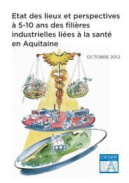 (dÃ©cembre 2012) sur les filiÃ¨res santÃ© en Aquitaine - GIPSO