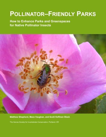 POLLINATOR–FRIENDLY PARKS - Sustainable Urban Gardens