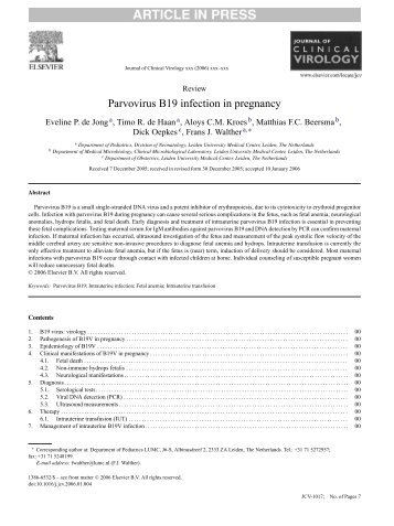 Parvovirus B19 infection in pregnancy - ResearchGate