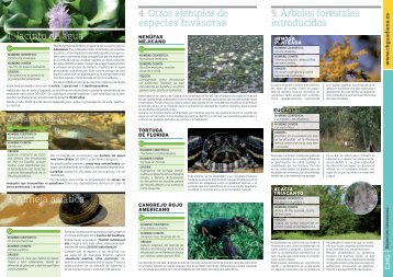 4. Otros ejemplos de especies invasoras 5.Ãrboles forestales ...