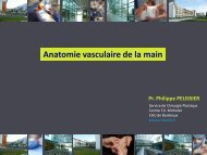 Anatomie vasculaire de la main - e-plastic.fr