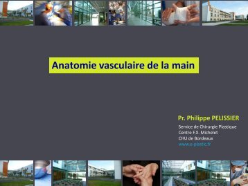 Anatomie vasculaire de la main - e-plastic.fr
