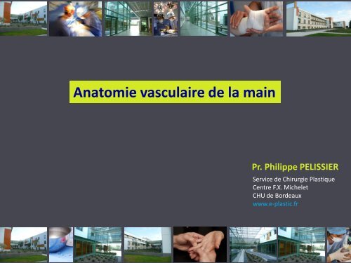 Anatomie vasculaire de la main - e-plastic.fr