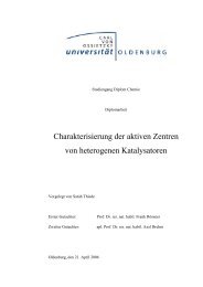 Charakterisierung der aktiven Zentren von heterogenen Katalysatoren