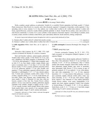 Luffa (PDF)