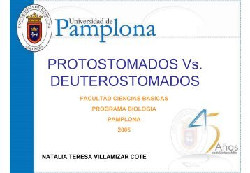 Protostomados vs Deuterostomados PPT