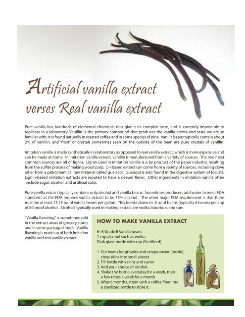 Vanilla orchids - Kauai Nursery & Landscaping, Inc.