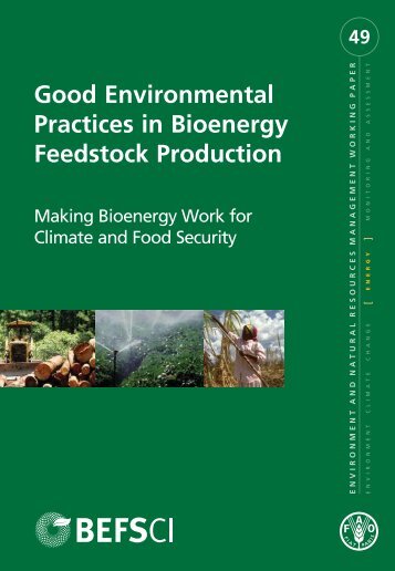 Good Environmental Practices in Bioenergy Feedstock Production