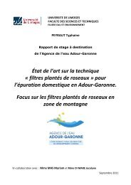 filtres plantés de roseaux - Agence de l'eau Adour-Garonne