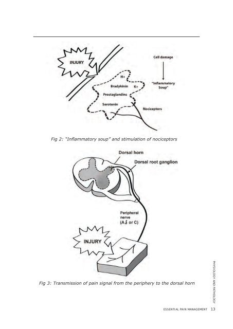 Workshop Manual - Faculty of pain medicine - Australian and New ...