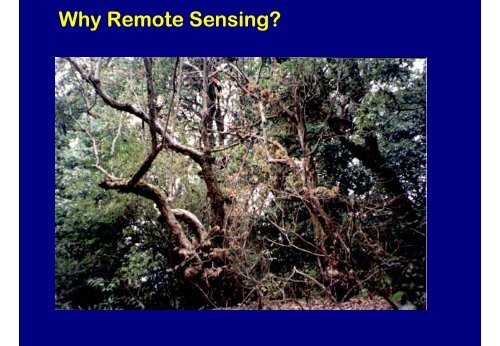 Remote Sensing