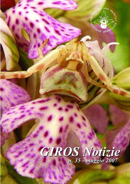 GIROS Notizie GIROS Notizie - GIROS - Gruppo Italiano per la ...