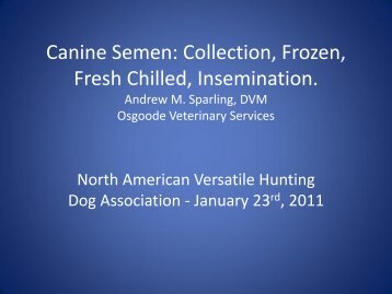 Canine Semen: Collection, Frozen, Fresh Chilled, Insemination ...