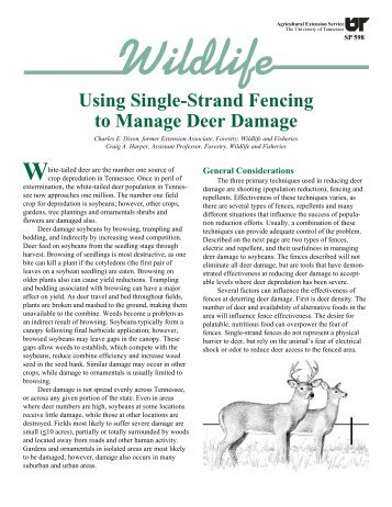 Wildlife - Using Single-Strand Fencing to Manage Deer Damage