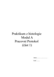 Leitfaden Zum Modul 1b A A Azmotivations Workshopa A Aœ Ticketino