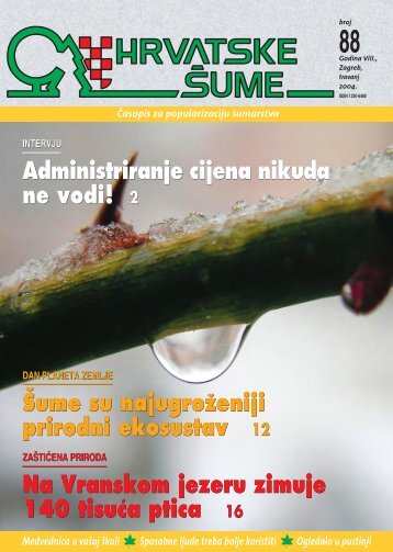 Bijeli sljez - lijek za mnoge bolesti - Hrvatske šume