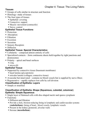 Ch04 Tissues