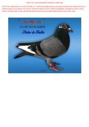 “PRETTY 46” SA 08 29546 BBPH ORIGINAL G ... - pigeon sales