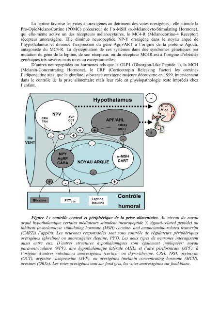 Physiopathologie de l'obÃ©sitÃ© de l'enfant