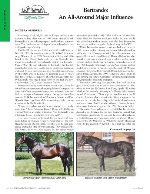 Top Thoroughbred Breeders