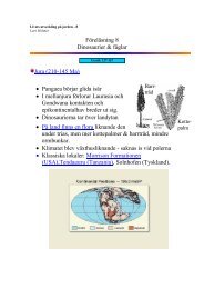 FÃ¶relÃ¤sning 8 Dinosaurier & fÃ¥glar Jura (210-145 Ma) â¢ Pangaea ...