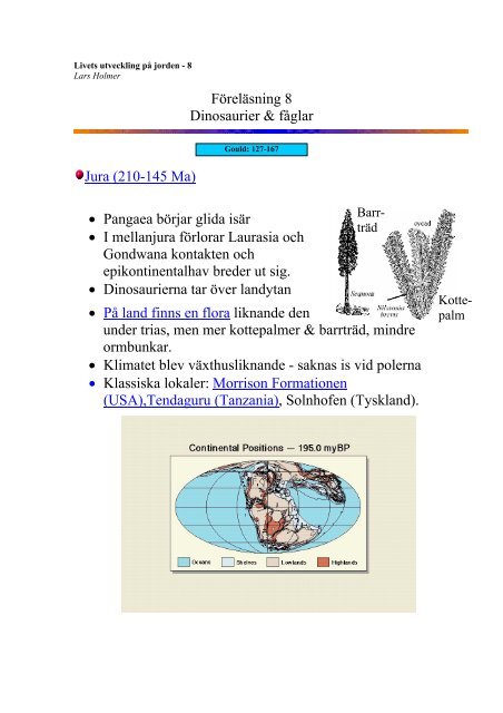 FÃ¶relÃ¤sning 8 Dinosaurier & fÃ¥glar Jura (210-145 Ma) â¢ Pangaea ...