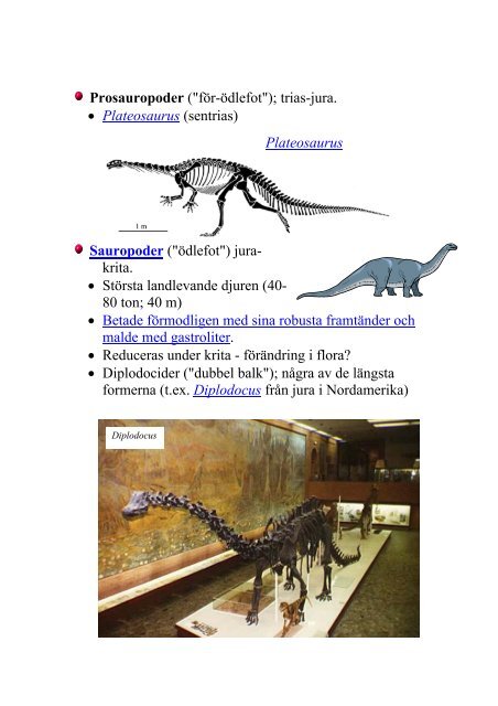 FÃ¶relÃ¤sning 8 Dinosaurier & fÃ¥glar Jura (210-145 Ma) â¢ Pangaea ...