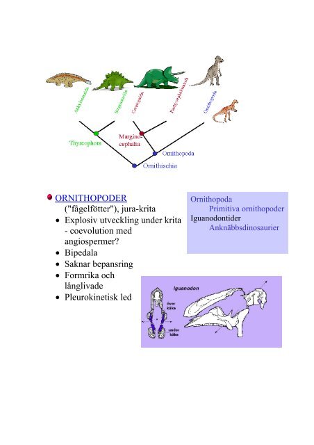 FÃ¶relÃ¤sning 8 Dinosaurier & fÃ¥glar Jura (210-145 Ma) â¢ Pangaea ...