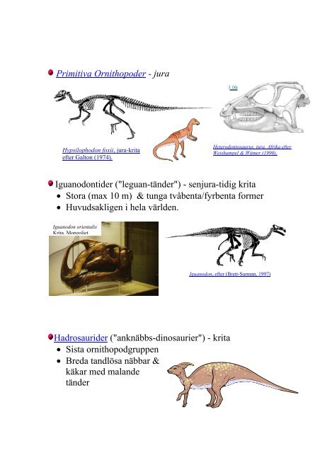 FÃ¶relÃ¤sning 8 Dinosaurier & fÃ¥glar Jura (210-145 Ma) â¢ Pangaea ...