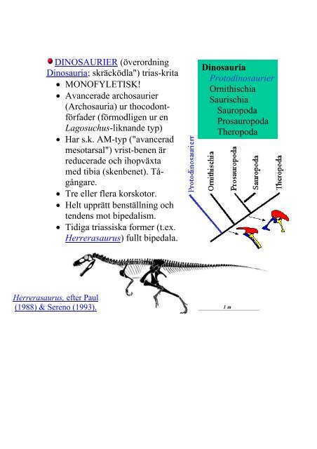 FÃ¶relÃ¤sning 8 Dinosaurier & fÃ¥glar Jura (210-145 Ma) â¢ Pangaea ...
