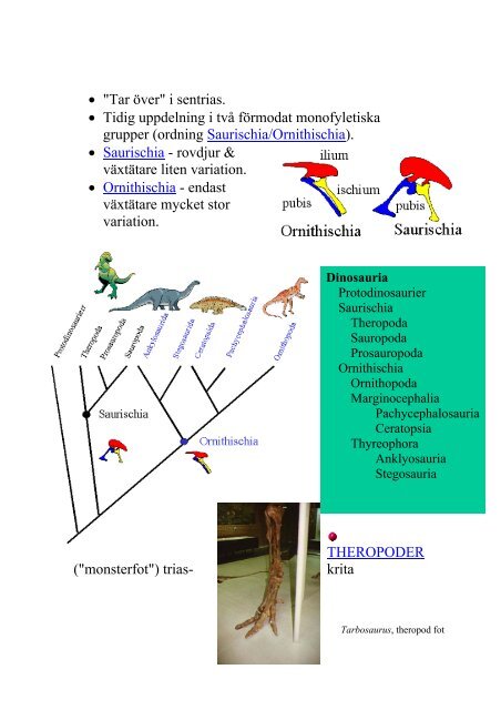 FÃ¶relÃ¤sning 8 Dinosaurier & fÃ¥glar Jura (210-145 Ma) â¢ Pangaea ...