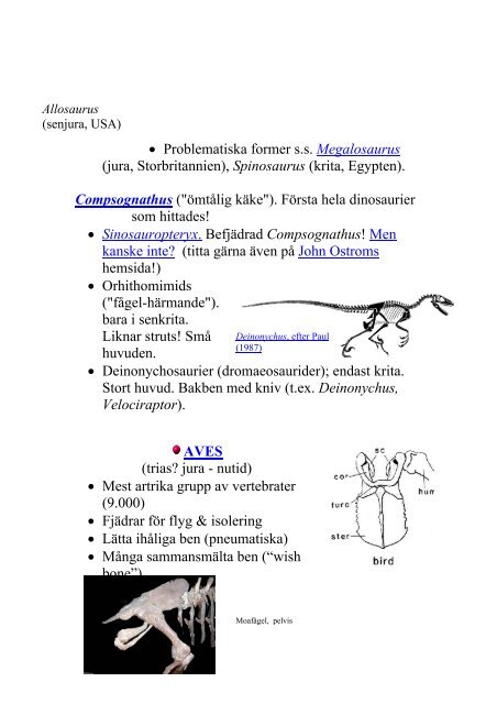 FÃ¶relÃ¤sning 8 Dinosaurier & fÃ¥glar Jura (210-145 Ma) â¢ Pangaea ...