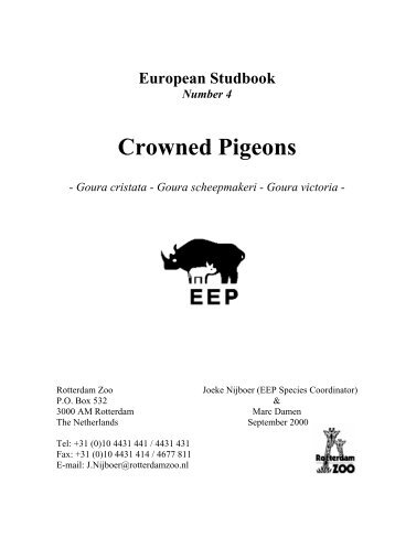 EEP Crowned pigeon  number 4
