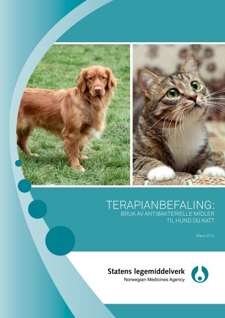 Terapianbefaling_Antibakterielle midler hund og katt_2014_N