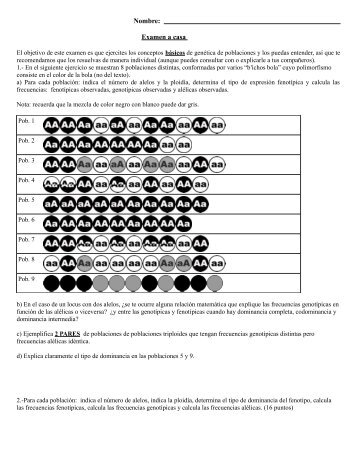 Ejercicio-examen bicho bola