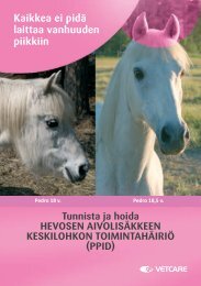 Hevosen aivolisäKKeen KesKiloHKon ToiminTaHäiriö - Vetcare