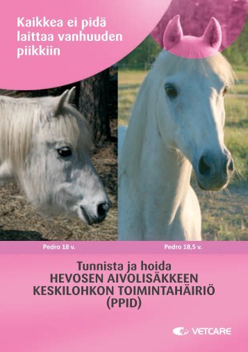 Hevosen aivolisäKKeen KesKiloHKon ToiminTaHäiriö - Vetcare