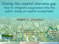 Closing The Coastal Charisma Gap